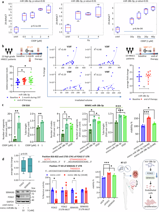 Circulating miR-18b-3p is a novel biomarker predicting chemo ...