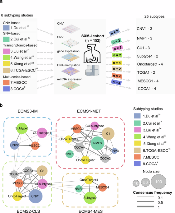 kb glutathione review 2015 Catabolic rewiring in cancer impacts dietary interventions The consensus molecular subtypes of