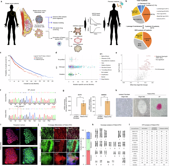 glutathione drug test Personalized pharmacokinetic–pharmacodynamic guided therapy via an induced  pluripotent stem cell–derived multi-organoid platform in NF1-mutant breast  cancer
