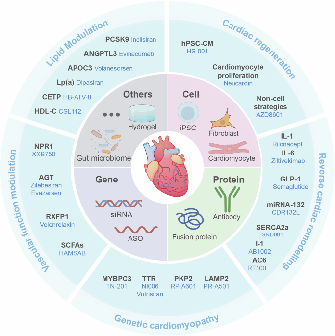 regen rx semaglutide GLP-1 Program Regen Wellness Hormone Therapy