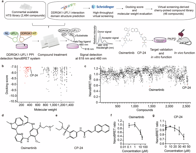 opti white glutathione review Dual-targeting pharmacological UFMylation inhibition reprograms tumor and immune microenvironments to achieve long-term glioblastoma regression Affirm Antioxidant Firming Serum