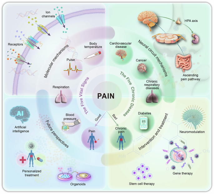 Progress in pain mechanisms and management