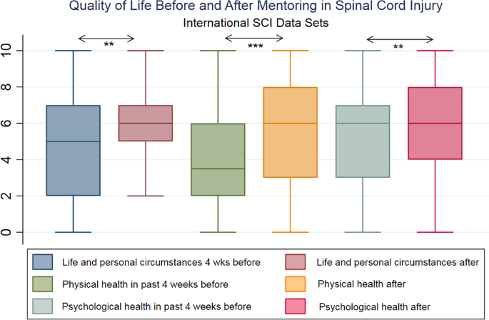 Implementing volunteer peer mentoring as a supplement to professional  efforts in primary rehabilitation of persons with spinal cord injury |  Spinal Cord