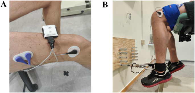 The relationship between balance control and thigh muscle strength 