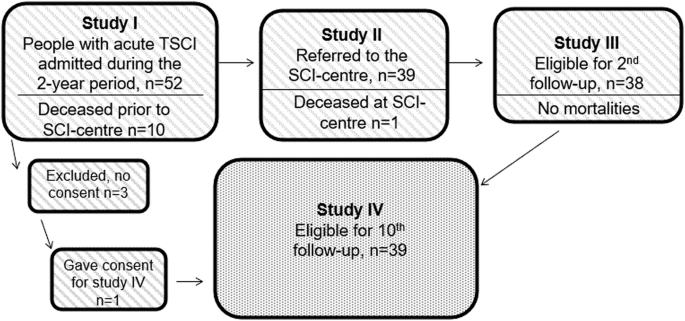 Outcomes 10-years after traumatic spinal cord injury in botswana - a long-term follow-up study