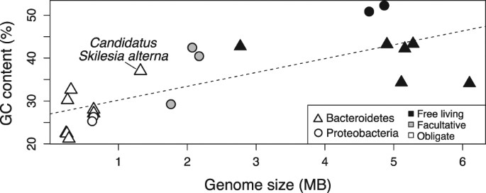 evolutionary loss and replacement