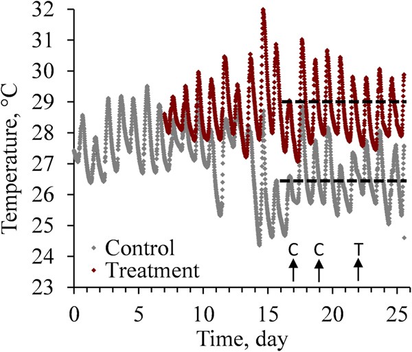 Coral Bleaching From A Single Cell Perspective The Isme Journal