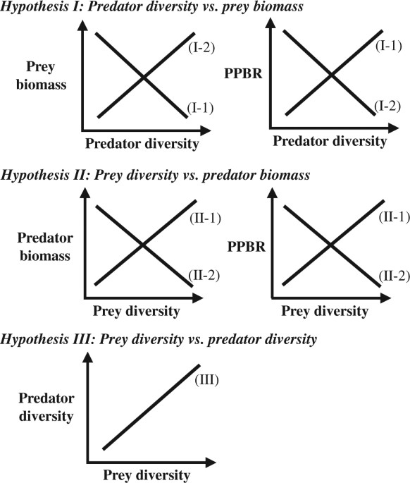 Keystone species, Predator-prey relationships, Ecosystem balance,  Biodiversity