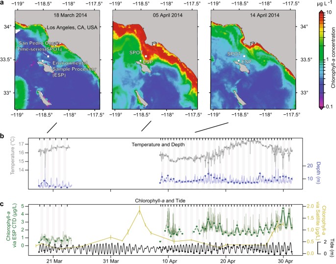 Dynamics And Interactions Of Highly Resolved Marine Plankton Via Automated High Frequency Sampling The Isme Journal