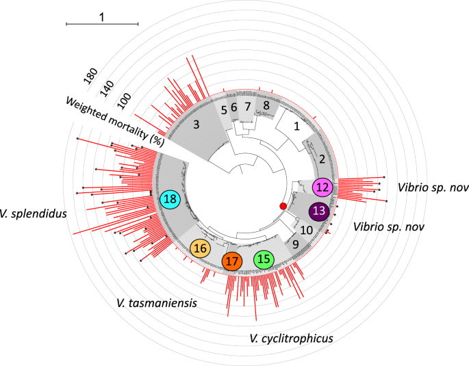 Ancestral Gene Acquisition As The Key To Virulence Potential In Environmental Vibrio Populations The Isme Journal Ancestral Gene Acquisition As The Key To Virulence Potential In Environmental Vibrio Populations The Isme Journal