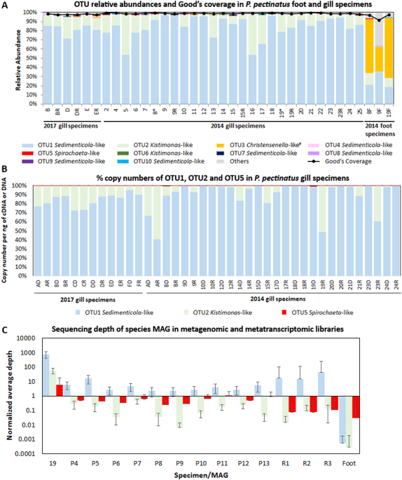 taxonomic and functional heterogeneity