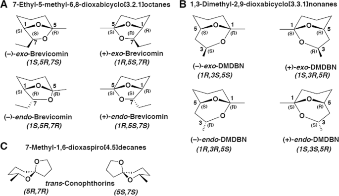 Convergent Evolution Of Semiochemicals Across Kingdoms Bark Beetles And Their Fungal Symbionts The Isme Journal