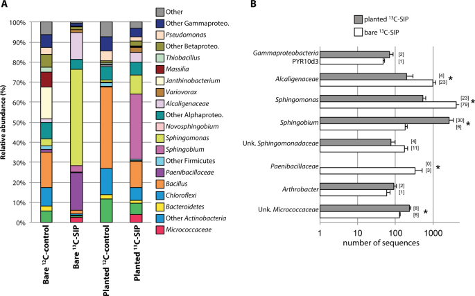 Stable Isotope Probing And Metagenomics Highlight The Effect Of Plants On Uncultured Phenanthrene Degrading Bacterial Consortium In Polluted Soil The Isme Journal
