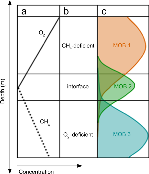 Flingster App Review: In-Depth Analysis