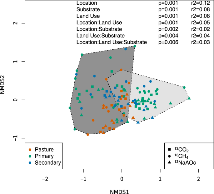 Rainforest-to-pasture conversion stimulates soil methanogenesis across the  Brazilian Amazon | The ISME Journal