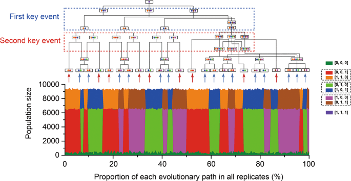 Genome-driven evolutionary game theory helps understand the rise of  metabolic interdependencies in microbial communities