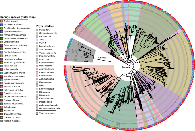 A Genomic View Of The Microbiome Of Coral Reef Demosponges The Isme Journal