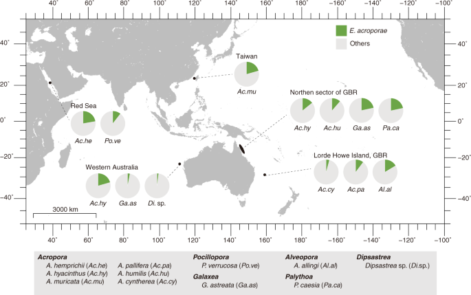 Scatter Plots A Complete Guide To Scatter Plots