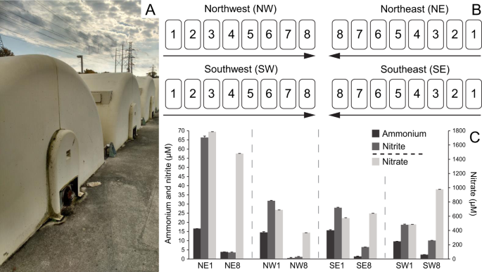 Activated sludge process versus rotating biological contactors in