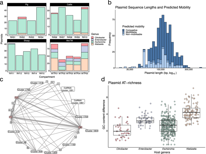 Genomic Network Analysis Of Environmental And Livestock F Type Plasmid Populations The Isme Journal