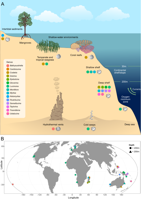 Gene loss and symbiont switching during adaptation to the deep sea ... - Nature.com
