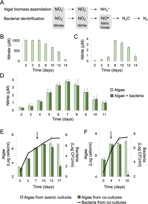Aerobic bacteria produce nitric oxide via denitrification and promote ... - Nature.com