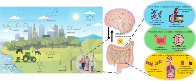 Pesticide exposure and the microbiota-gut-brain axis | The ISME Journal