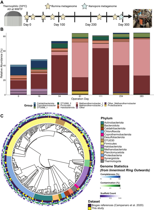 Diverse electron carriers drive syntrophic interactions in an enriched ... - Nature.com