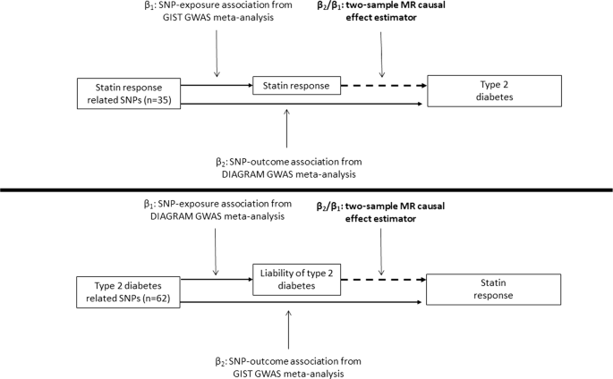 Statin Induced Ldl Cholesterol Response And Type 2 Diabetes A Bidirectional Two Sample Mendelian Randomization Study The Pharmacogenomics Journal