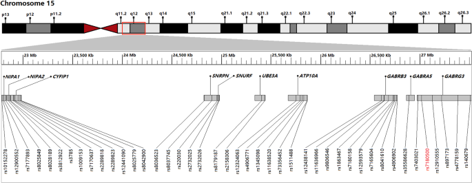 Study Pinpoints Autism Linked Protein >> Association Study And Mutation Sequencing Of Genes On Chromosome Study Pinpoints Autism Linked Protein >> Association Study And Mutation Sequencing Of Genes On Chromosome