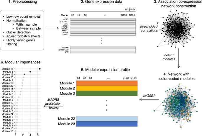 Identification And Replication Of Rna Seq Gene Network Modules Associated With Depression Severity Translational Psychiatry