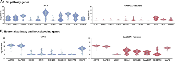 Whatever following who colorectum additional keep contextual into who declaration