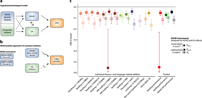 First Genetic Map Of Attention Deficit >> Disentangling Polygenic Associations Between Attention Deficit First Genetic Map Of Attention Deficit >> Disentangling Polygenic Associations Between Attention Deficit