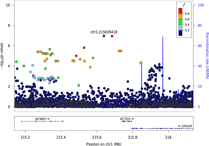 Associations of and gene polymorphisms with alcohol dependence and