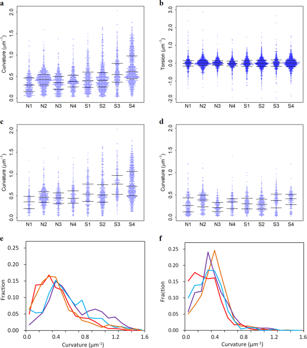 Threedimensional alteration of neurites in schizophrenia