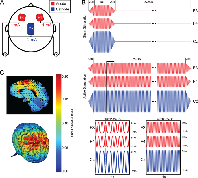 Frontiers  Transcranial Alternating Current Stimulation (tACS) Mechanisms  and Protocols