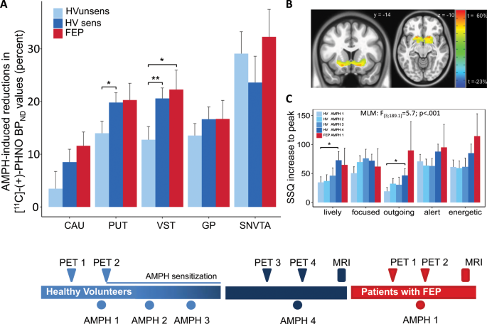 On The Relationship Of First Episode Psychosis To The Amphetamine Sensitized State A Dopamine D 2 3 Receptor Agonist Radioligand Study Translational Psychiatry