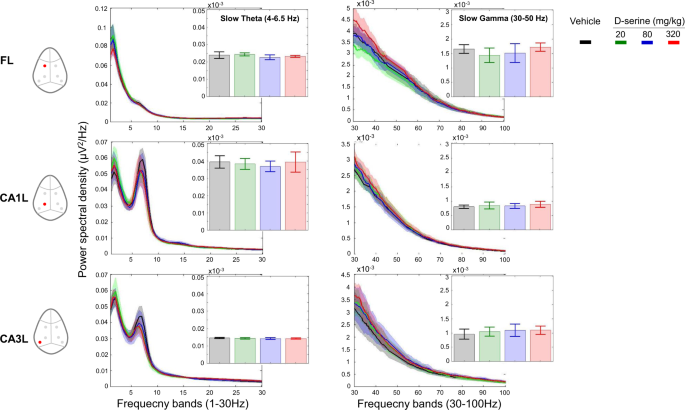 The phosphodiesterase-4 and glycine transporter-1 inhibitors enhance in vivo hippocampal theta network connectivity and synaptic plasticity, whereas d-serine does not