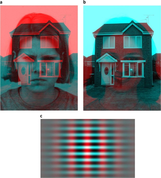 The effect of intranasal oxytocin on visual processing and salience of human faces