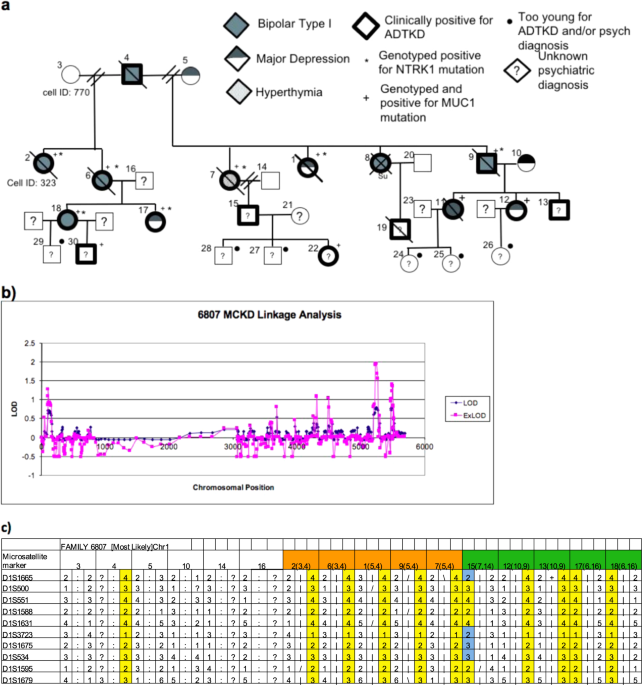 Ntrk1 Mutation Co Segregating With Bipolar Disorder And Inherited Kidney Disease In A Multiplex Family Causes Defects In Neuronal Growth And Depression Like Behavior In Mice Translational Psychiatry