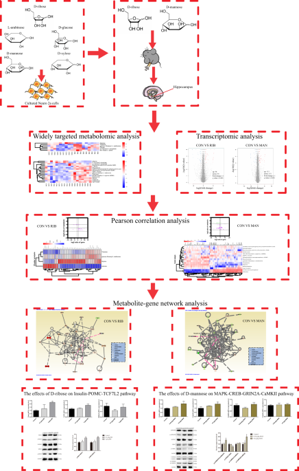 feature-image