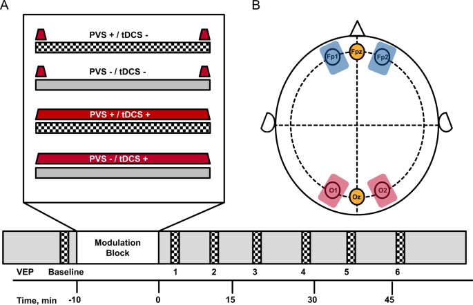 Transcranial Direct Current Stimulation Induces Long Term Potentiation Like Plasticity In The Human Visual Cortex Translational Psychiatry