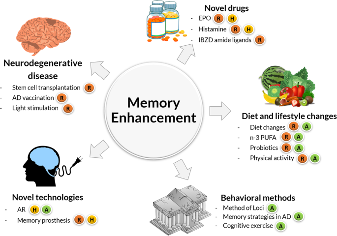 Delaying memory decline: different options and emerging solutions |  Translational Psychiatry