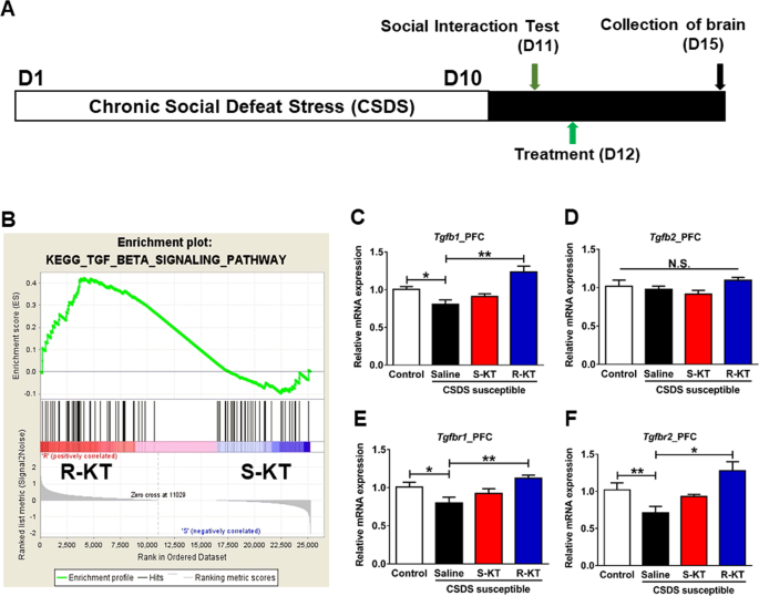 Essential Role Of Microglial Transforming Growth Factor B1 In Antidepressant Actions Of R Ketamine And The Novel Antidepressant Tgf B1 Translational Psychiatry Essential Role Of Microglial Transforming Growth Factor B1 In Antidepressant Actions Of R Ketamine And The Novel Antidepressant Tgf B1 Translational Psychiatry