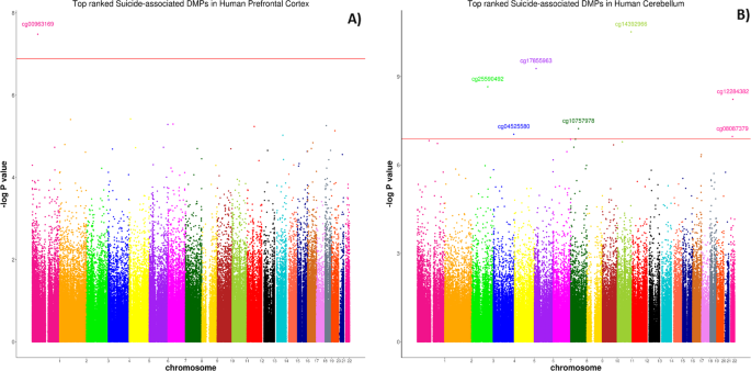 Genome-wide DNA methylation meta-analysis in the brains of suicide  completers | Translational Psychiatry