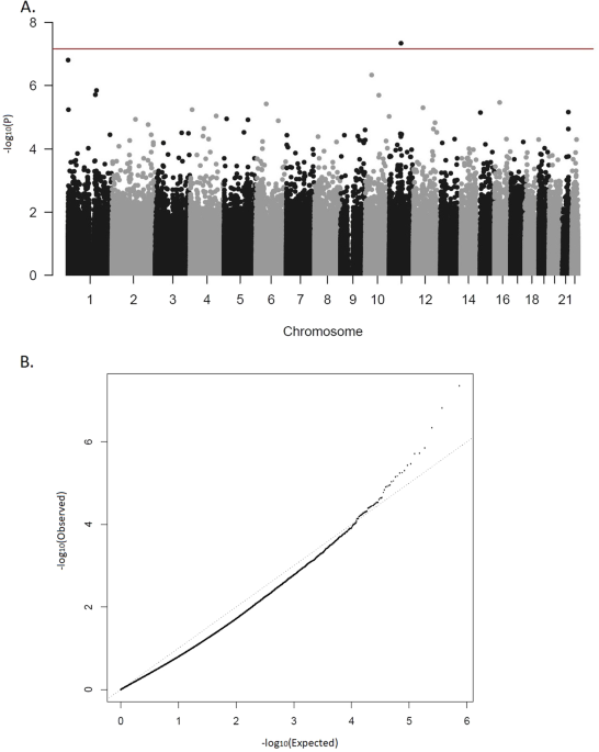 Epigenome-wide association study of attention-deficit/hyperactivity disorder in adults