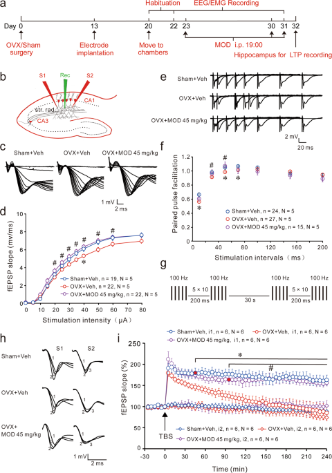 Chronic modafinil therapy ameliorates depressive-like behavior, spatial  memory and hippocampal plasticity impairments, and sleep-wake changes in a  surgical mouse model of menopause | Translational Psychiatry