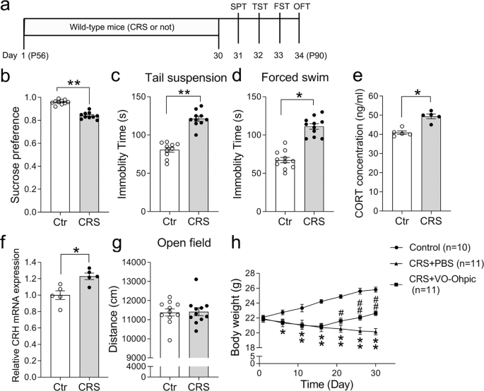 Pten In Prefrontal Cortex Is Essential In Regulating Depression Like Behaviors In Mice Translational Psychiatry