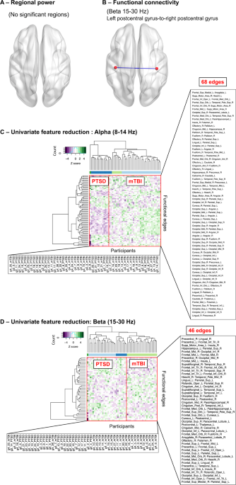 Long-term Multidomain Patterns of Change After Traumatic Brain Injury