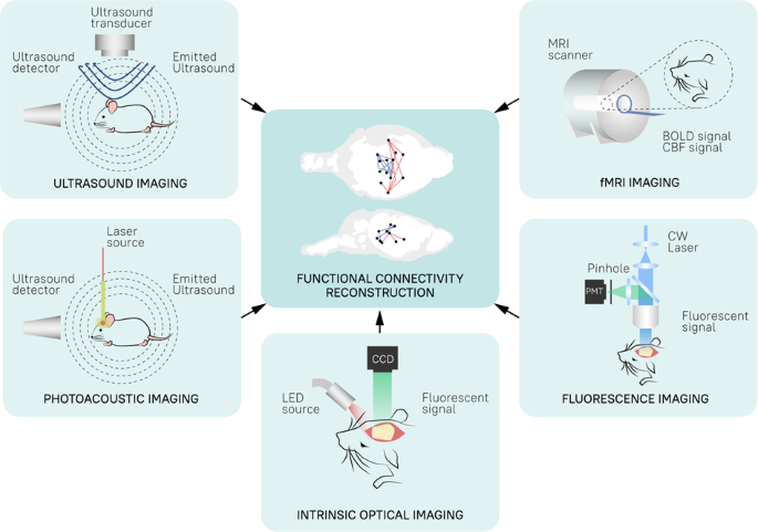 Emerging imaging methods to study whole-brain function in rodent